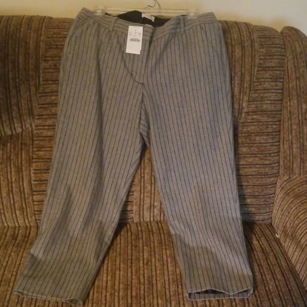 Women's pants
